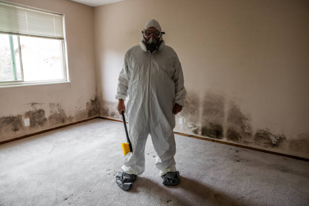 Best Attic Mold Removal  in Triana, AL